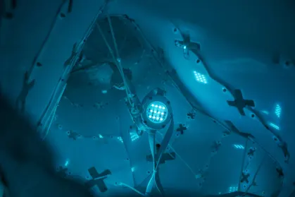 ZodiacBet Casino Aip Soghluaiste